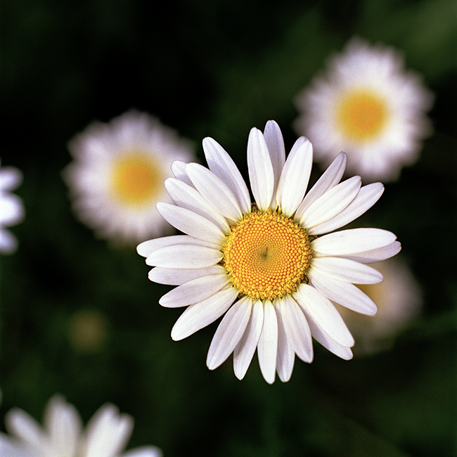 R79-8.jpg